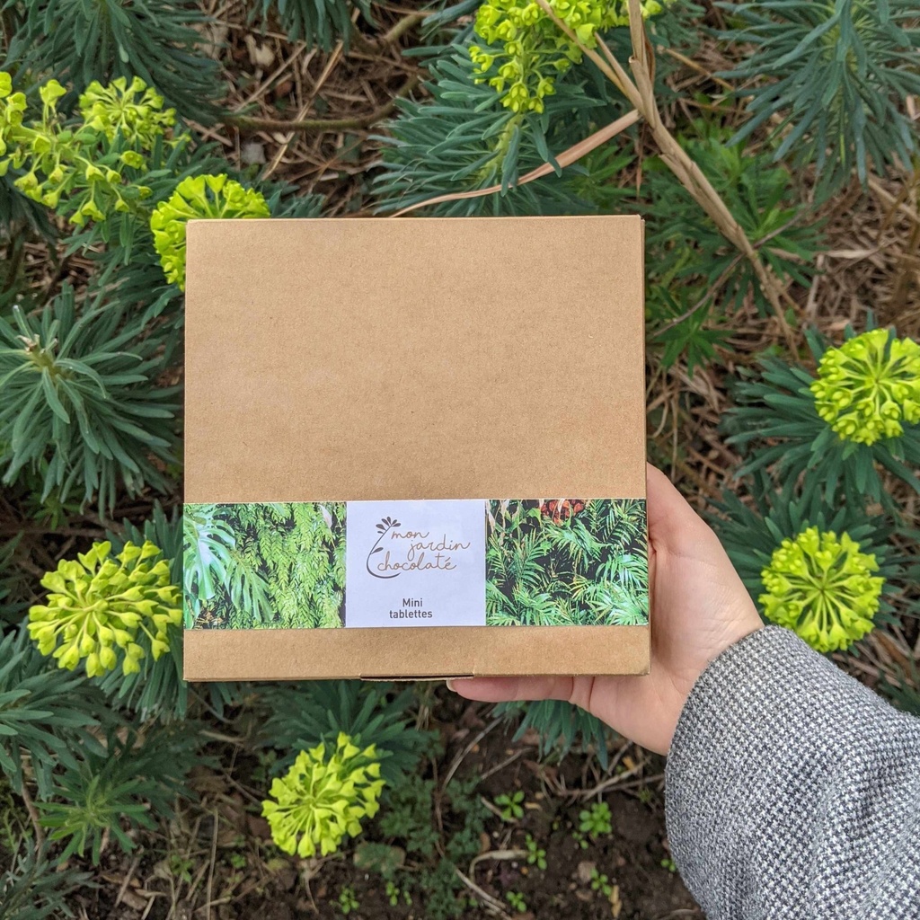 Boite-de-mini-tablettes-illustration-_-Mon-jardin-chocolate-scaled.jpg
