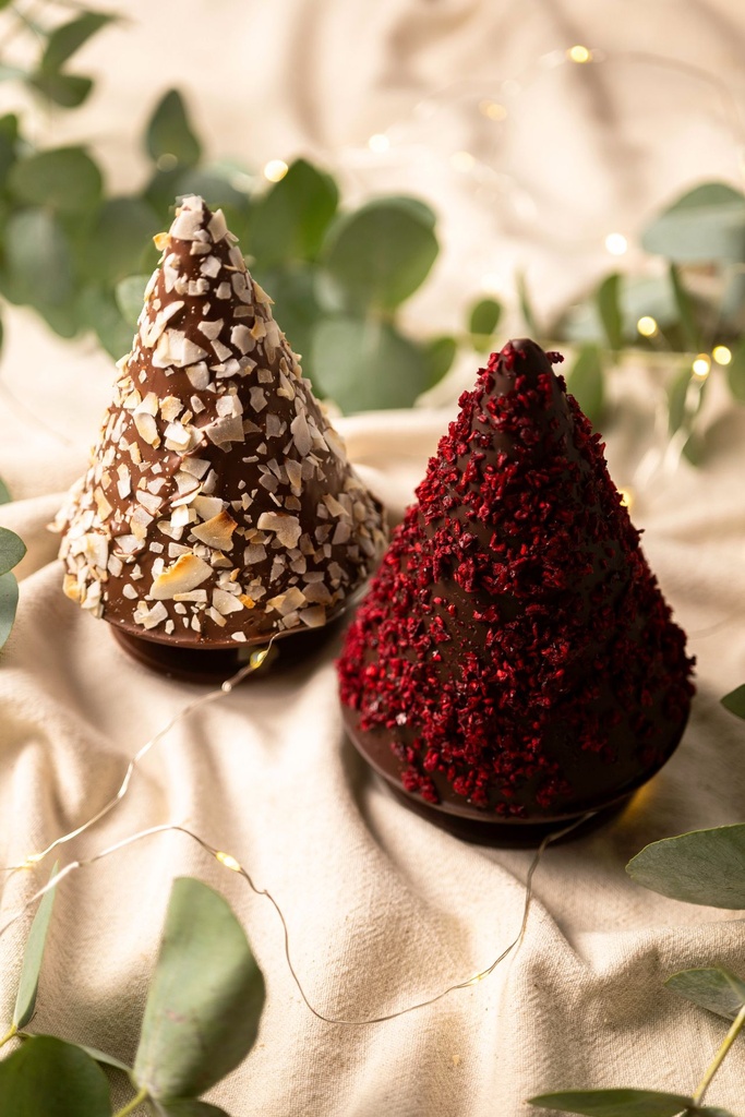 ©GeraldineMartens_Sapins a secrets 2.jpg