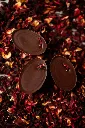©GeraldineMartens_JARDINCHOCOLATE_20260915_DSC_0000-452452.webp