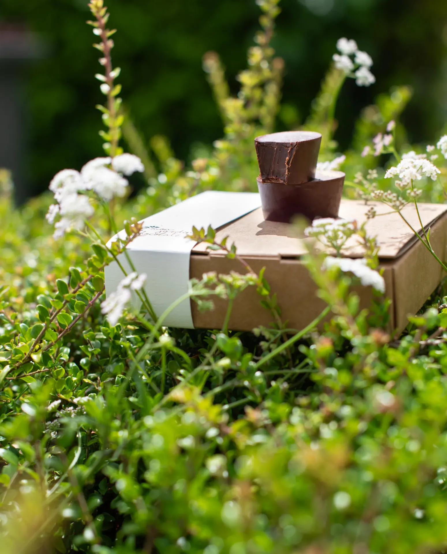 [9SUR] Boite de 9 chocolats Fleur de sureau - Édition limitée
