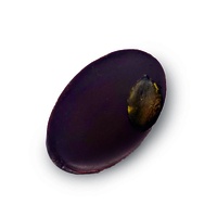 Chocolat Sacrée Courge