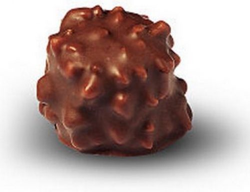 Rocher chocolat praliné : Recette secrète de notre chocolatière