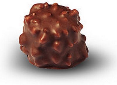rocher chocolat praliné bio de notre chocolaterie paris