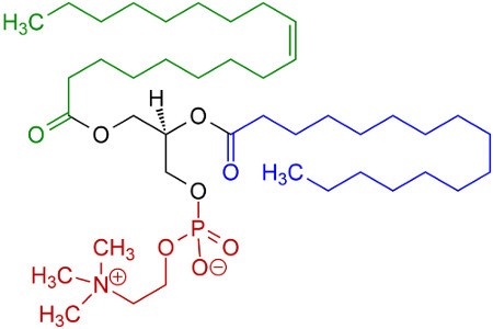 Tout savoir sur la lécithine de soja