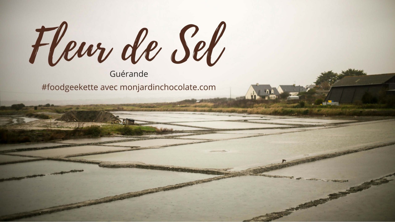 Les principales différences entre la fleur de sel et le gros sel