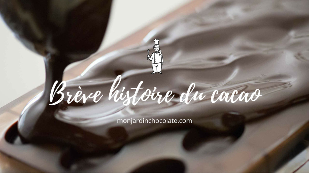 Brève histoire du cacao