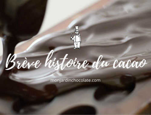 Brève histoire du cacao