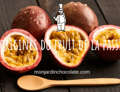 Les origines du fruit de la passion