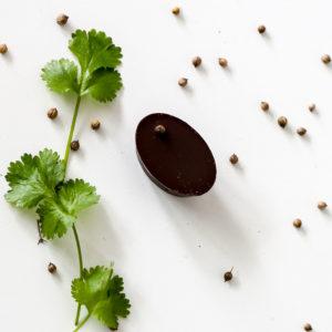chocolat graine de coriandre