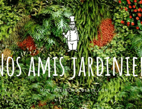 Nos amis jardiniers – Hyeyeon