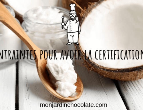 Chocolat certifié bio : les contraintes de la certification