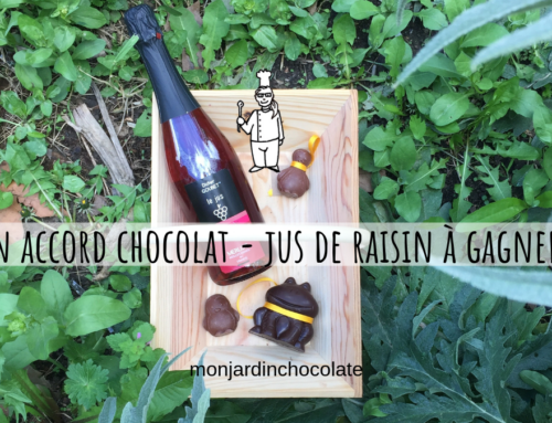 Un accord chocolat – jus de raisin surprenant à gagner !