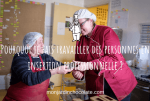 Insertion professionnelle