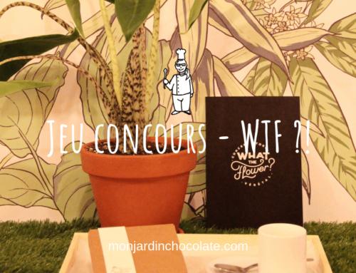 Jeu concours – WTF ?!