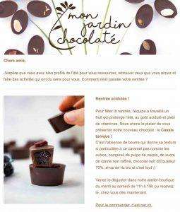 photo newsletter newsletter avec une photo de chocolat individuel cassis tonique