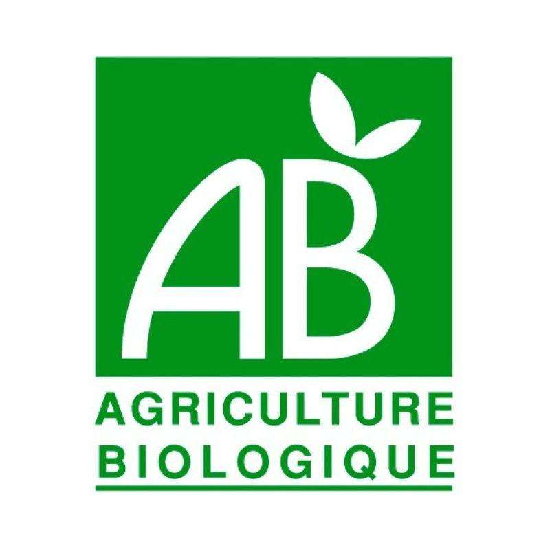 Graines de courge – BIO – Atout Bout d'Champ